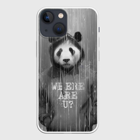 Чехол для iPhone 13 mini с принтом Панда в Екатеринбурге,  |  | дождь | животные | капюшон | кофта | медведь | мишка | панда | природа | хипстер