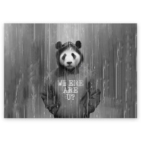 Поздравительная открытка с принтом Панда в Екатеринбурге, 100% бумага | плотность бумаги 280 г/м2, матовая, на обратной стороне линовка и место для марки
 | дождь | животные | капюшон | кофта | медведь | мишка | панда | природа | хипстер