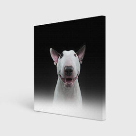 Холст квадратный с принтом Oh snap! в Екатеринбурге, 100% ПВХ |  | bull terrier | dog |   | бультерьер | собака