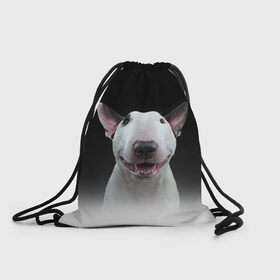 Рюкзак-мешок 3D с принтом Oh snap! в Екатеринбурге, 100% полиэстер | плотность ткани — 200 г/м2, размер — 35 х 45 см; лямки — толстые шнурки, застежка на шнуровке, без карманов и подкладки | bull terrier | dog |   | бультерьер | собака