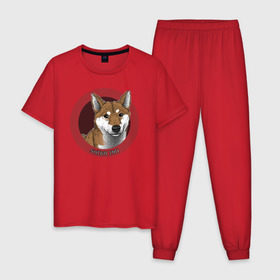 Мужская пижама хлопок с принтом Сиба-ину в Екатеринбурге, 100% хлопок | брюки и футболка прямого кроя, без карманов, на брюках мягкая резинка на поясе и по низу штанин
 | shiba inu | сиба ину | собака | собаки | шиба ину