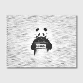 Альбом для рисования с принтом BAD PANDA в Екатеринбурге, 100% бумага
 | матовая бумага, плотность 200 мг. | bad | bear | panda | медведь | панда