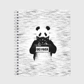 Тетрадь с принтом BAD PANDA в Екатеринбурге, 100% бумага | 48 листов, плотность листов — 60 г/м2, плотность картонной обложки — 250 г/м2. Листы скреплены сбоку удобной пружинной спиралью. Уголки страниц и обложки скругленные. Цвет линий — светло-серый
 | bad | bear | panda | медведь | панда