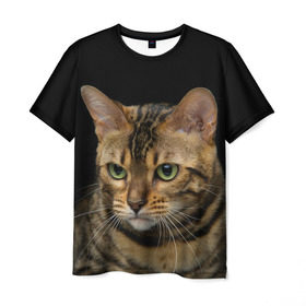 Мужская футболка 3D с принтом Бенгальский кот в Екатеринбурге, 100% полиэфир | прямой крой, круглый вырез горловины, длина до линии бедер | bengal cat | cat | бенгальская кошка | бенгальский | кот | котик | коты | кошки