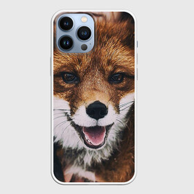 Чехол для iPhone 13 Pro Max с принтом Лисичка в Екатеринбурге,  |  | голова | животные | лиса | мордочка | пасть | природа | рыжая | язык