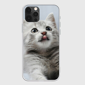 Чехол для iPhone 12 Pro Max с принтом Котенок в Екатеринбурге, Силикон |  | голова | животные | кот | котенок | котик | кошка | мордочка | природа | язык