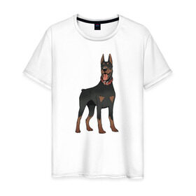 Мужская футболка хлопок с принтом Доберман в Екатеринбурге, 100% хлопок | прямой крой, круглый вырез горловины, длина до линии бедер, слегка спущенное плечо. | doberman | dobermann | dog | доберман | собака | собаки