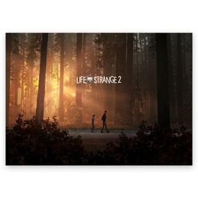 Поздравительная открытка с принтом Life is Strange в Екатеринбурге, 100% бумага | плотность бумаги 280 г/м2, матовая, на обратной стороне линовка и место для марки
 | caulfield | chloe price | game | kate marsh | life | life is strange | life is strange: before the storm | max | strange | две луны | игры | кейт марш | колфилд | макс | подростки | студенты