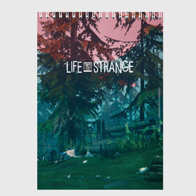 Скетчбук с принтом Life IS Strange в Екатеринбурге, 100% бумага
 | 48 листов, плотность листов — 100 г/м2, плотность картонной обложки — 250 г/м2. Листы скреплены сверху удобной пружинной спиралью | caulfield | chloe price | game | kate marsh | life | life is strange | life is strange: before the storm | max | strange | две луны | игры | кейт марш | колфилд | макс | подростки | студенты