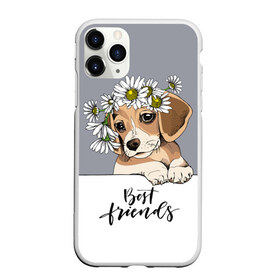 Чехол для iPhone 11 Pro матовый с принтом Best friend в Екатеринбурге, Силикон |  | backgroun | best | breed | daisies | dog | flowers | friend | green | kid | puppy | wreath | венок | графика | друг | зелёный | картинка | красивый | крутой | лучший | малыш | мода | модный | молодёжная | порода | рисунок | ромашки | собака