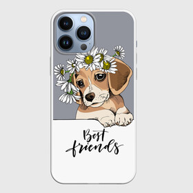 Чехол для iPhone 13 Pro Max с принтом Best friend в Екатеринбурге,  |  | backgroun | best | breed | daisies | dog | flowers | friend | green | kid | puppy | wreath | венок | графика | друг | зелёный | картинка | красивый | крутой | лучший | малыш | мода | модный | молодёжная | порода | рисунок | ромашки | собака