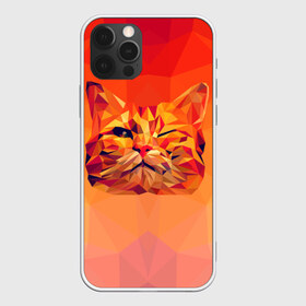 Чехол для iPhone 12 Pro Max с принтом Подмигивающий кот (Low Poly) в Екатеринбурге, Силикон |  | cat | fox | kitty | low | lowpoly | poly | веселая | геометрия | грозовой кошак | желтая | кот | котейка | котофей | кошак | лиса | любителям кошек | низкополигональный | позитив | прикольная | рисунок | рыжая | узор