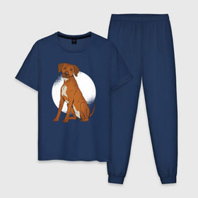Мужская пижама хлопок с принтом Родезийский риджбек в Екатеринбурге, 100% хлопок | брюки и футболка прямого кроя, без карманов, на брюках мягкая резинка на поясе и по низу штанин
 | rhodesian ridgeback | ridgeback | риджбек | собака | собаки