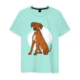 Мужская футболка хлопок с принтом Родезийский риджбек в Екатеринбурге, 100% хлопок | прямой крой, круглый вырез горловины, длина до линии бедер, слегка спущенное плечо. | rhodesian ridgeback | ridgeback | риджбек | собака | собаки