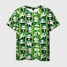 Мужская футболка 3D с принтом Медведи панда в Екатеринбурге, 100% полиэфир | прямой крой, круглый вырез горловины, длина до линии бедер | animals | bamboo | bears | branches | funny | panda | trees | аниме | бамбук | весёлые | ветки | графика | деревья | животные | зелёный | искусство | картинка | красивый | крутой | малыши | медведи | мода | модный | молодёжная