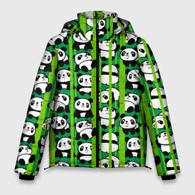 Мужская зимняя куртка 3D с принтом Медведи панда в Екатеринбурге, верх — 100% полиэстер; подкладка — 100% полиэстер; утеплитель — 100% полиэстер | длина ниже бедра, свободный силуэт Оверсайз. Есть воротник-стойка, отстегивающийся капюшон и ветрозащитная планка. 

Боковые карманы с листочкой на кнопках и внутренний карман на молнии. | animals | bamboo | bears | branches | funny | panda | trees | аниме | бамбук | весёлые | ветки | графика | деревья | животные | зелёный | искусство | картинка | красивый | крутой | малыши | медведи | мода | модный | молодёжная