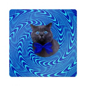 Магнит виниловый Квадрат с принтом Гипнотический кот в Екатеринбурге, полимерный материал с магнитным слоем | размер 9*9 см, закругленные углы | big | арт | крупные арты | крупные принты | сумасшедшие арты