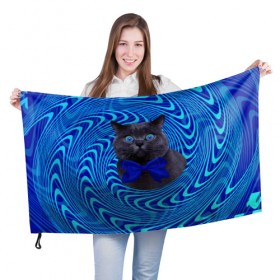 Флаг 3D с принтом Гипнотический кот в Екатеринбурге, 100% полиэстер | плотность ткани — 95 г/м2, размер — 67 х 109 см. Принт наносится с одной стороны | big | арт | крупные арты | крупные принты | сумасшедшие арты