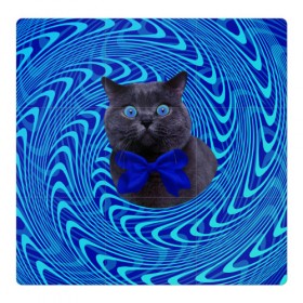 Магнитный плакат 3Х3 с принтом Гипнотический кот в Екатеринбурге, Полимерный материал с магнитным слоем | 9 деталей размером 9*9 см | Тематика изображения на принте: big | арт | крупные арты | крупные принты | сумасшедшие арты