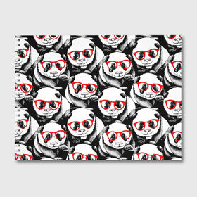 Альбом для рисования с принтом Панды в красных очках в Екатеринбурге, 100% бумага
 | матовая бумага, плотность 200 мг. | animals | bears | funny | head | muzzl | pandas | red | весёлые | взгляд | голова | графика | животные | искусство | картинка | красивый | красные | крутой | медведи | мода | модный | молодёжная | очки | панды | рисунок