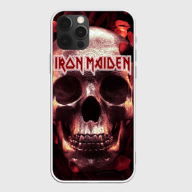 Чехол для iPhone 12 Pro с принтом Iron Maiden в Екатеринбурге, силикон | область печати: задняя сторона чехла, без боковых панелей | бас | британия | брюс дикинсон | гитара | группа | дева | железная | метал | нико макбрэйн | рок | стив харрис | хеви | яник герс