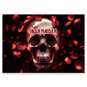 Поздравительная открытка с принтом Iron Maiden в Екатеринбурге, 100% бумага | плотность бумаги 280 г/м2, матовая, на обратной стороне линовка и место для марки
 | Тематика изображения на принте: бас | британия | брюс дикинсон | гитара | группа | дева | железная | метал | нико макбрэйн | рок | стив харрис | хеви | яник герс