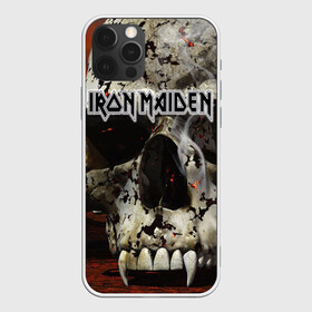 Чехол для iPhone 12 Pro с принтом Iron Maiden в Екатеринбурге, силикон | область печати: задняя сторона чехла, без боковых панелей | бас | британия | брюс дикинсон | гитара | группа | дева | железная | метал | нико макбрэйн | рок | стив харрис | хеви | яник герс