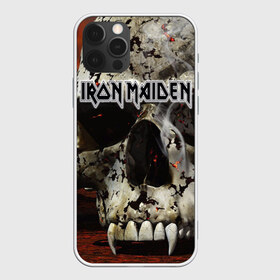 Чехол для iPhone 12 Pro Max с принтом Iron Maiden в Екатеринбурге, Силикон |  | бас | британия | брюс дикинсон | гитара | группа | дева | железная | метал | нико макбрэйн | рок | стив харрис | хеви | яник герс