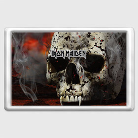 Магнит 45*70 с принтом Iron Maiden в Екатеринбурге, Пластик | Размер: 78*52 мм; Размер печати: 70*45 | бас | британия | брюс дикинсон | гитара | группа | дева | железная | метал | нико макбрэйн | рок | стив харрис | хеви | яник герс