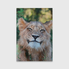 Обложка для паспорта матовая кожа с принтом Улыбка львицы в Екатеринбурге, натуральная матовая кожа | размер 19,3 х 13,7 см; прозрачные пластиковые крепления | Тематика изображения на принте: голова | животные | кот | кошка | лев | лицо | львица | прикол | прикольные | природа | смешные | тигр | тигрица | улыбается | улыбка | юмор