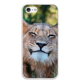 Чехол для iPhone 5/5S матовый с принтом Улыбка львицы в Екатеринбурге, Силикон | Область печати: задняя сторона чехла, без боковых панелей | голова | животные | кот | кошка | лев | лицо | львица | прикол | прикольные | природа | смешные | тигр | тигрица | улыбается | улыбка | юмор