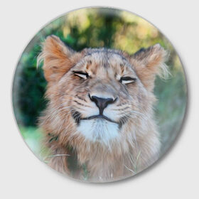 Значок с принтом Улыбка львицы в Екатеринбурге,  металл | круглая форма, металлическая застежка в виде булавки | Тематика изображения на принте: голова | животные | кот | кошка | лев | лицо | львица | прикол | прикольные | природа | смешные | тигр | тигрица | улыбается | улыбка | юмор