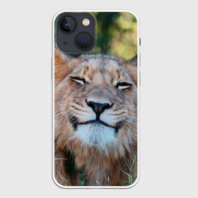 Чехол для iPhone 13 mini с принтом Улыбка львицы в Екатеринбурге,  |  | голова | животные | кот | кошка | лев | лицо | львица | прикол | прикольные | природа | смешные | тигр | тигрица | улыбается | улыбка | юмор