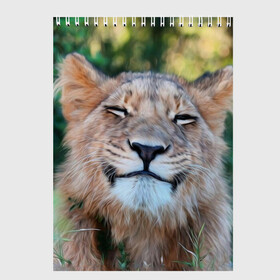 Скетчбук с принтом Улыбка львицы в Екатеринбурге, 100% бумага
 | 48 листов, плотность листов — 100 г/м2, плотность картонной обложки — 250 г/м2. Листы скреплены сверху удобной пружинной спиралью | голова | животные | кот | кошка | лев | лицо | львица | прикол | прикольные | природа | смешные | тигр | тигрица | улыбается | улыбка | юмор