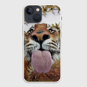 Чехол для iPhone 13 mini с принтом Тигр показывает язык в Екатеринбурге,  |  | голова | животные | кот | кошка | лев | лицо | прикол | прикольные | природа | смешные 
 животные | тигр | тигрица | юмор | язык