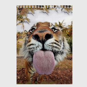 Скетчбук с принтом Тигр показывает язык в Екатеринбурге, 100% бумага
 | 48 листов, плотность листов — 100 г/м2, плотность картонной обложки — 250 г/м2. Листы скреплены сверху удобной пружинной спиралью | голова | животные | кот | кошка | лев | лицо | прикол | прикольные | природа | смешные 
 животные | тигр | тигрица | юмор | язык