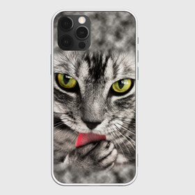 Чехол для iPhone 12 Pro Max с принтом Котик в Екатеринбурге, Силикон |  | животные | кот | котенок | кошка | лижет | мордочка | серый | умывается | язык