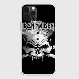 Чехол для iPhone 12 Pro с принтом Iron Maiden в Екатеринбурге, силикон | область печати: задняя сторона чехла, без боковых панелей | бас | британия | брюс дикинсон | гитара | группа | дева | железная | метал | нико макбрэйн | рок | стив харрис | хеви | яник герс