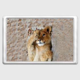Магнит 45*70 с принтом Львенок в Екатеринбурге, Пластик | Размер: 78*52 мм; Размер печати: 70*45 | дикая кошка | животные | кот | кошка | лев | львенок | львица | мордочка | природа | тигр | хищник