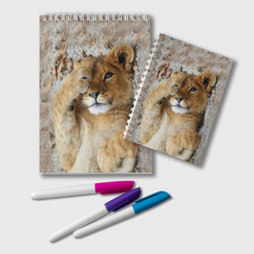 Блокнот с принтом Львенок в Екатеринбурге, 100% бумага | 48 листов, плотность листов — 60 г/м2, плотность картонной обложки — 250 г/м2. Листы скреплены удобной пружинной спиралью. Цвет линий — светло-серый
 | дикая кошка | животные | кот | кошка | лев | львенок | львица | мордочка | природа | тигр | хищник