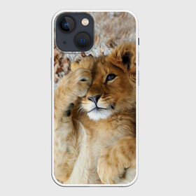 Чехол для iPhone 13 mini с принтом Львенок в Екатеринбурге,  |  | дикая кошка | животные | кот | кошка | лев | львенок | львица | мордочка | природа | тигр | хищник
