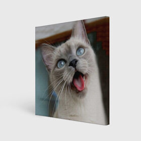Холст квадратный с принтом Сиамский котенок в Екатеринбурге, 100% ПВХ |  | животные | кот | котенок | котик | кошечка | кошка | милый | мордочка | показывает язык | прикол | серый | сиамская | сиамская кошка | сиамский котенок | юмор | язык