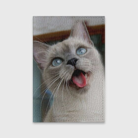 Обложка для паспорта матовая кожа с принтом Сиамский котенок в Екатеринбурге, натуральная матовая кожа | размер 19,3 х 13,7 см; прозрачные пластиковые крепления | Тематика изображения на принте: животные | кот | котенок | котик | кошечка | кошка | милый | мордочка | показывает язык | прикол | серый | сиамская | сиамская кошка | сиамский котенок | юмор | язык