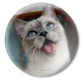 Значок с принтом Сиамский котенок в Екатеринбурге,  металл | круглая форма, металлическая застежка в виде булавки | животные | кот | котенок | котик | кошечка | кошка | милый | мордочка | показывает язык | прикол | серый | сиамская | сиамская кошка | сиамский котенок | юмор | язык