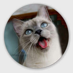 Коврик круглый с принтом Сиамский котенок в Екатеринбурге, резина и полиэстер | круглая форма, изображение наносится на всю лицевую часть | животные | кот | котенок | котик | кошечка | кошка | милый | мордочка | показывает язык | прикол | серый | сиамская | сиамская кошка | сиамский котенок | юмор | язык