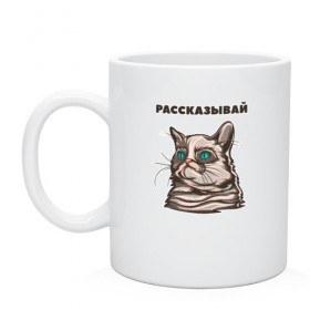 Кружка с принтом Грустный кот не верит тебе в Екатеринбурге, керамика | объем — 330 мл, диаметр — 80 мм. Принт наносится на бока кружки, можно сделать два разных изображения | Тематика изображения на принте: cat | grumpy | животное | кот | котенок | кошак | кошка