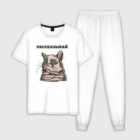 Мужская пижама хлопок с принтом Грустный кот не верит тебе в Екатеринбурге, 100% хлопок | брюки и футболка прямого кроя, без карманов, на брюках мягкая резинка на поясе и по низу штанин
 | cat | grumpy | животное | кот | котенок | кошак | кошка
