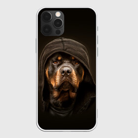 Чехол для iPhone 12 Pro Max с принтом Ротвейлер в капюшоне в Екатеринбурге, Силикон |  | Тематика изображения на принте: rottweiler | капюшон | молоссы | пастух | пёс | собака | щенок