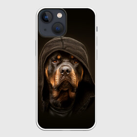 Чехол для iPhone 13 mini с принтом Ротвейлер в капюшоне в Екатеринбурге,  |  | Тематика изображения на принте: rottweiler | капюшон | молоссы | пастух | пёс | собака | щенок