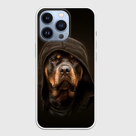 Чехол для iPhone 13 Pro с принтом Ротвейлер в капюшоне в Екатеринбурге,  |  | Тематика изображения на принте: rottweiler | капюшон | молоссы | пастух | пёс | собака | щенок